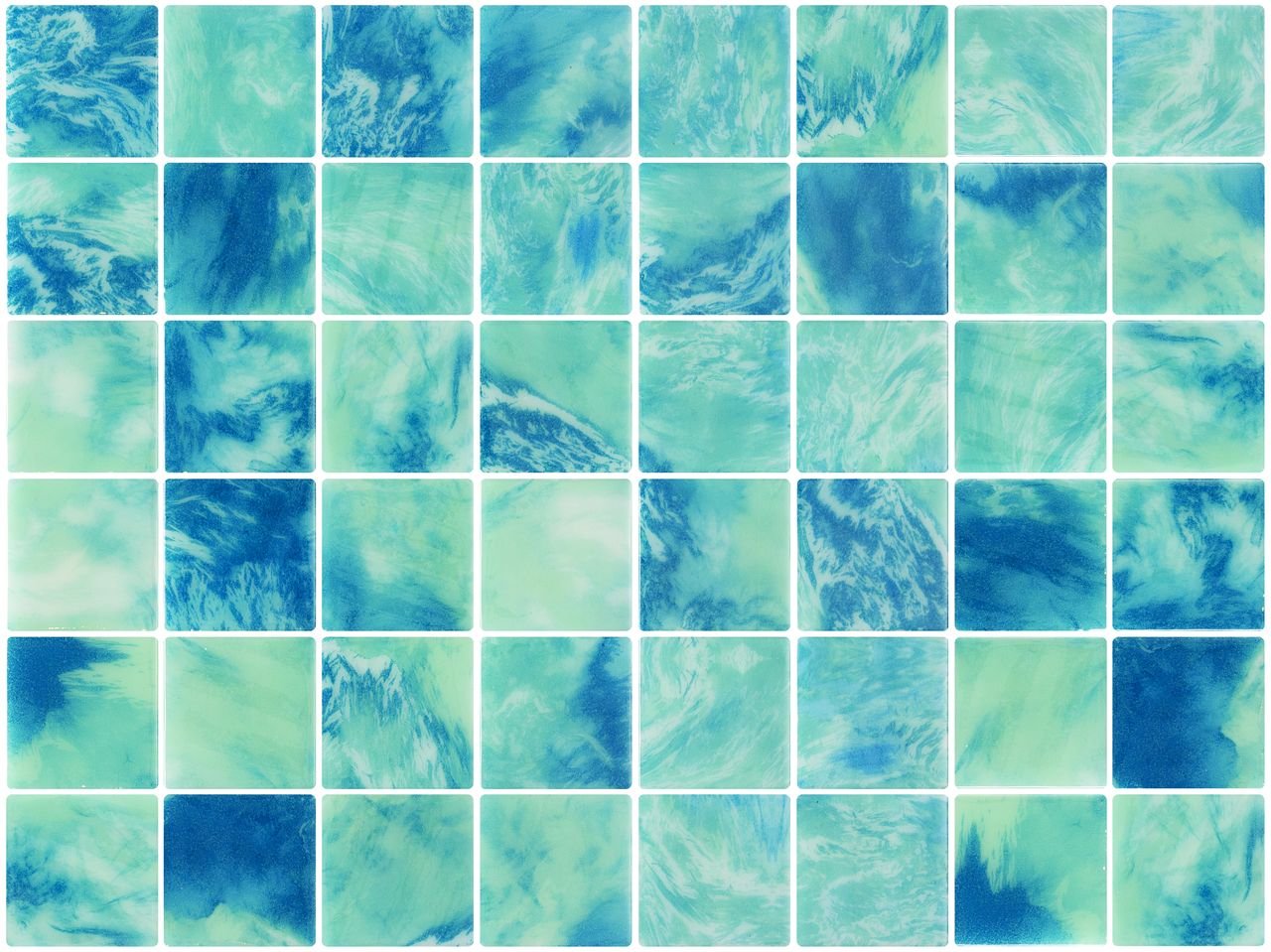 Fifty Baleen — Squamers