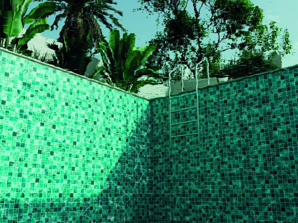 Fifty Midori — Squamers