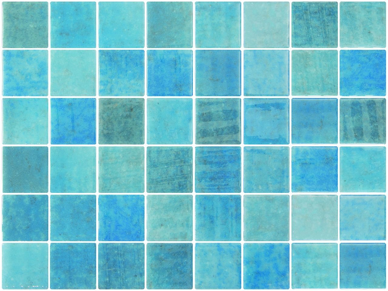 Fifty Ocean — Squamers