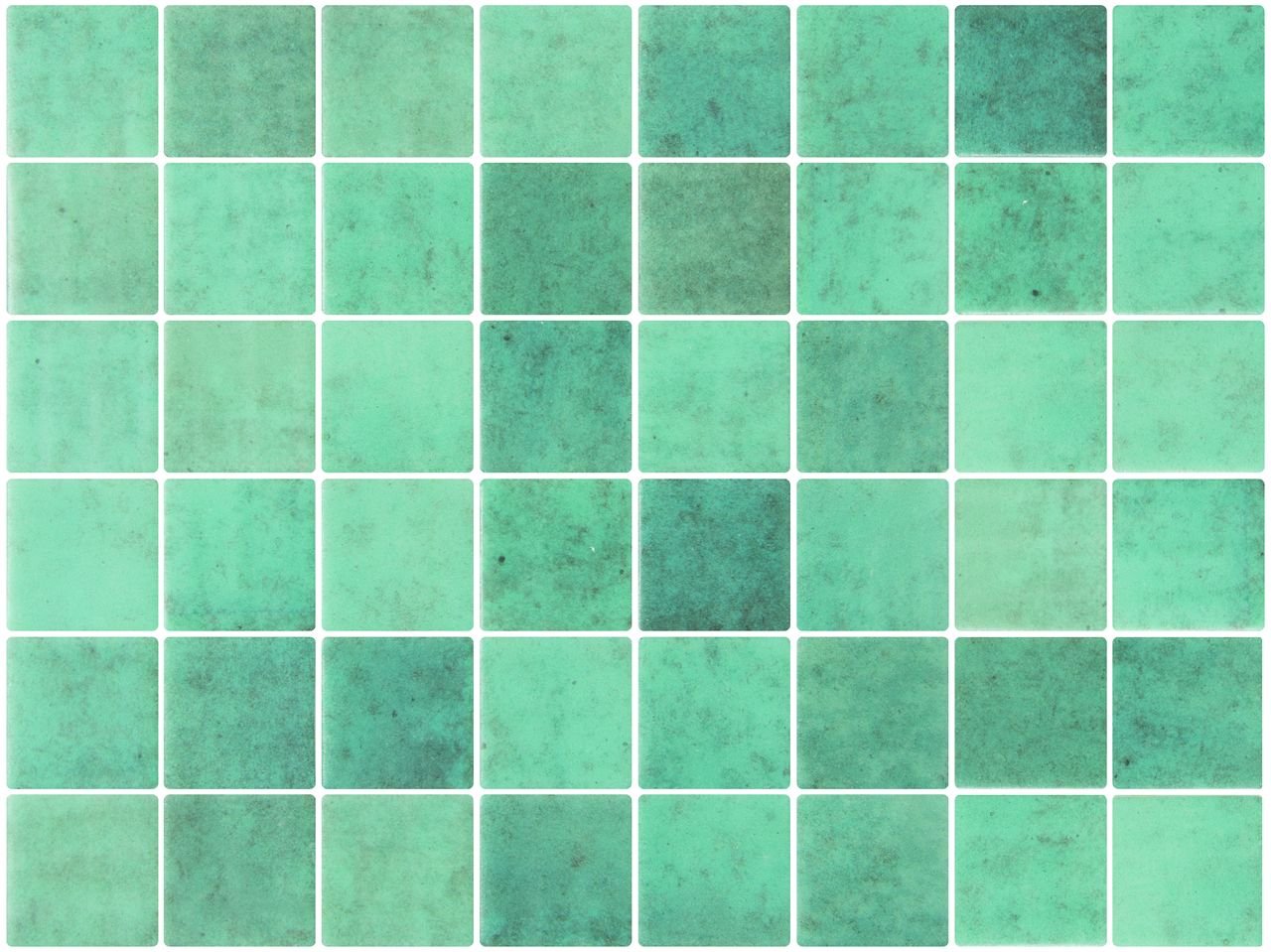 Fifty Posidonia — Squamers