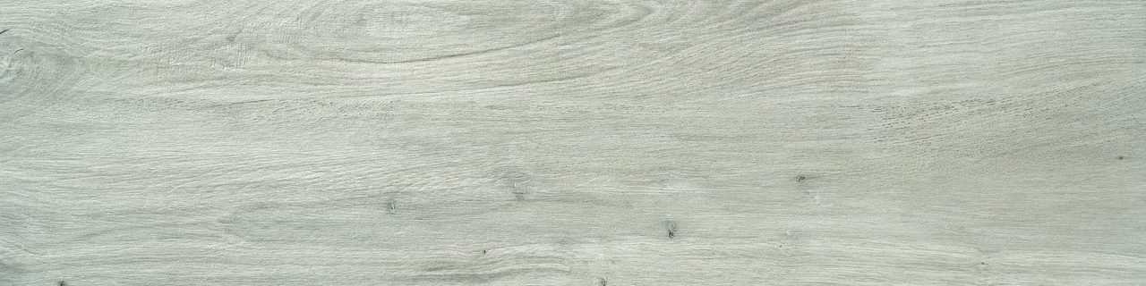 Heritage Poplar