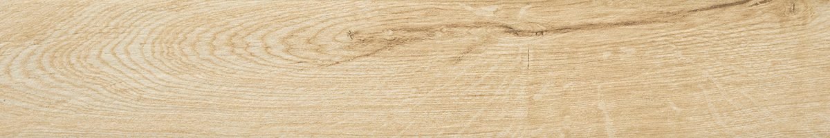 Michigan Maple